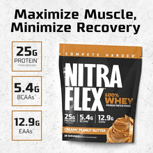 GAT NITRAFLEX WHEY PROTEIN ISOLATE