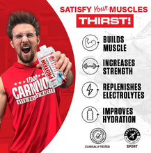 CARNIVOR PROTEIN HYDRATION RTD - 30 grams of protein + Electrolytes