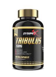 Dynamik Gold Series Tribulus 750MG 90 Veg Capsules